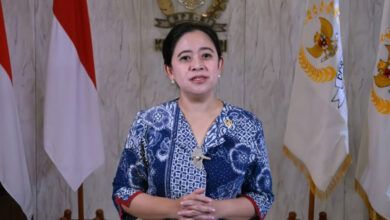 Ketua DPR RI Puan Maharani