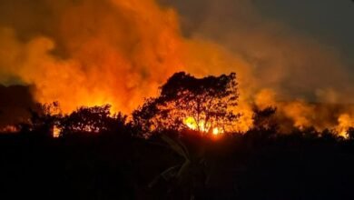 Kebakaran hutan dan lahan (karhutla) Kalimantan.