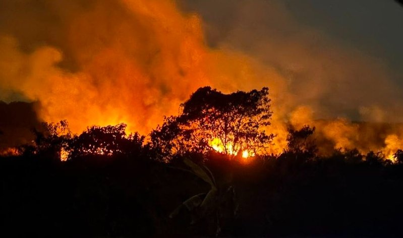 Kebakaran hutan dan lahan (karhutla) Kalimantan.