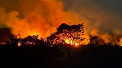 Ilustrasi Kebakaran hutan dan lahan (Karhutla)