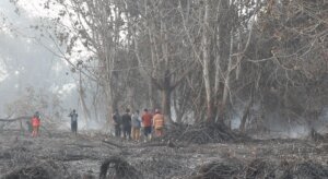 Cek Karhutla Pelita 8, Saefuddin Zuhri Ungkap Tantangan Pemadaman di Lahan Gambut